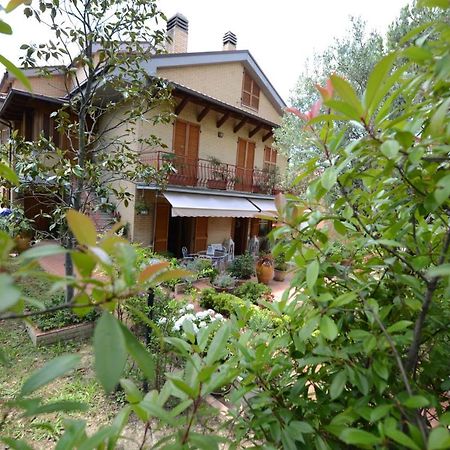 B&B Casa Cettina Macerata Eksteriør billede